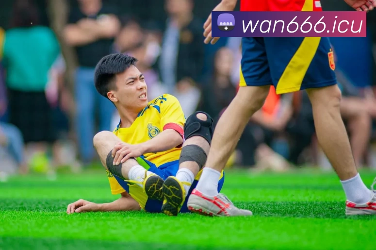 App Interface Preview